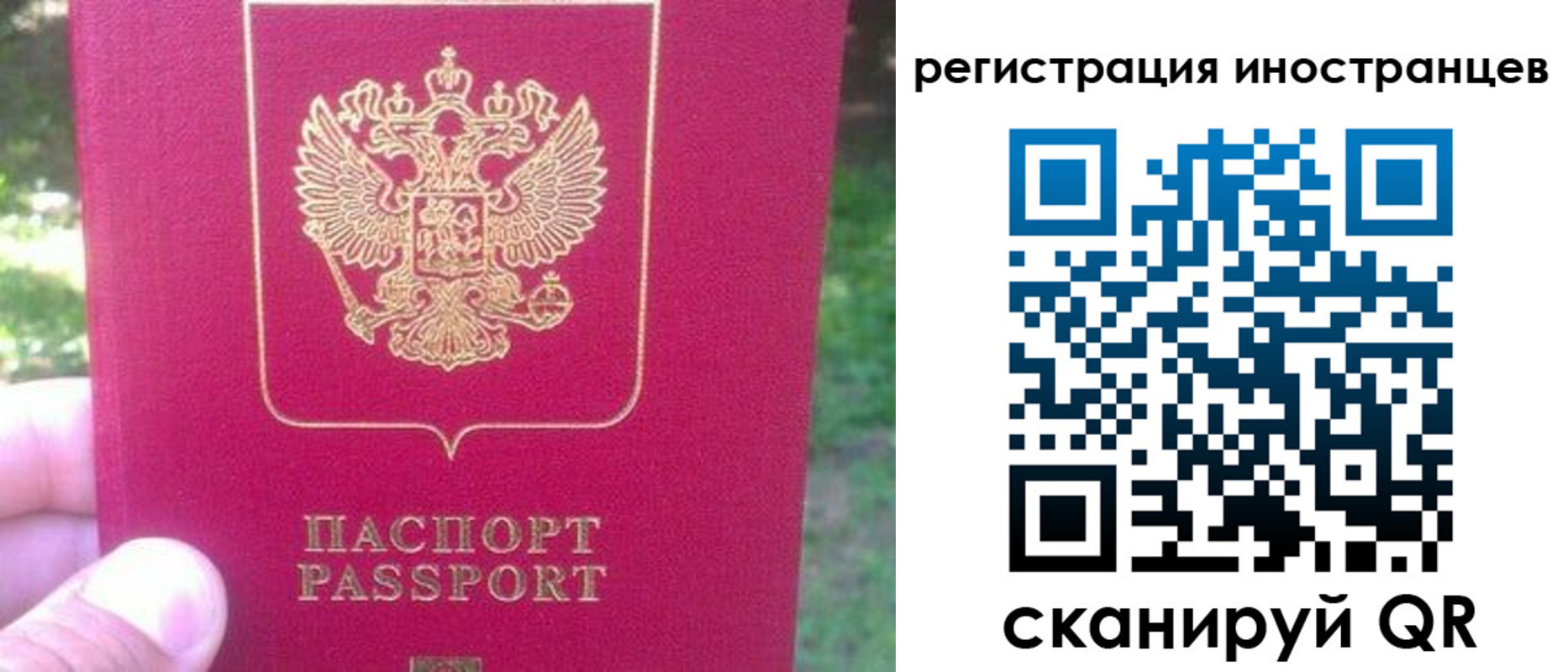 временная регистрация законно в Болотном